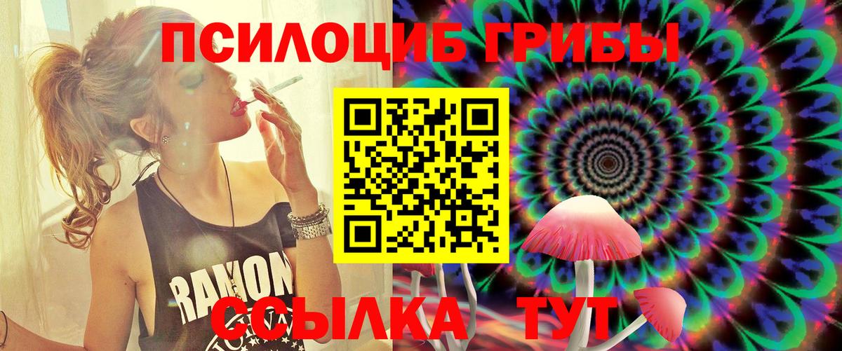 Псилоцибиновые грибы Psilocybe  Галлюциногенные грибы Cubensis  где найти наркотики  Вход с VPN  Прокопьевск 