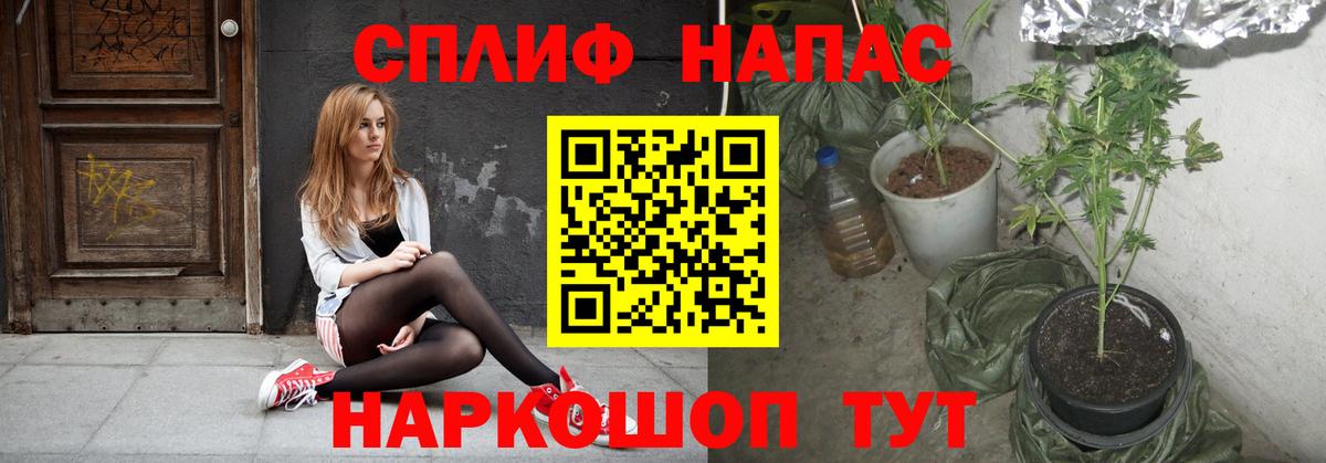 Марихуана AK-47  Вход с VPN  Прокопьевск  Шишки марихуана ГИДРОПОН  Бошки марихуана гибрид 